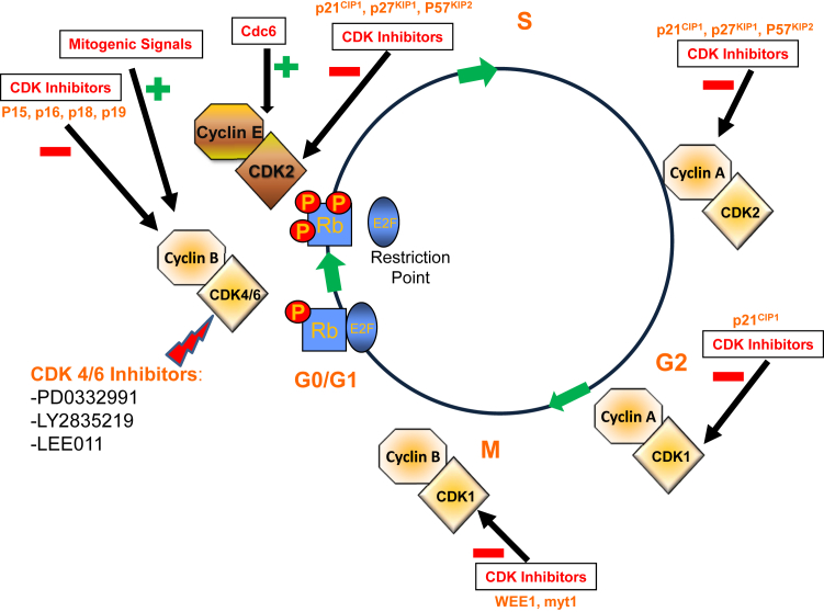 Figure 1