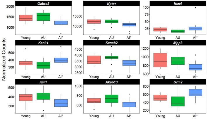 Figure 6