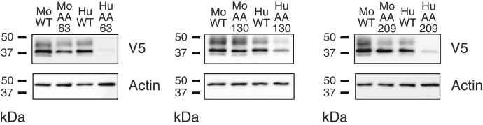 Figure 12