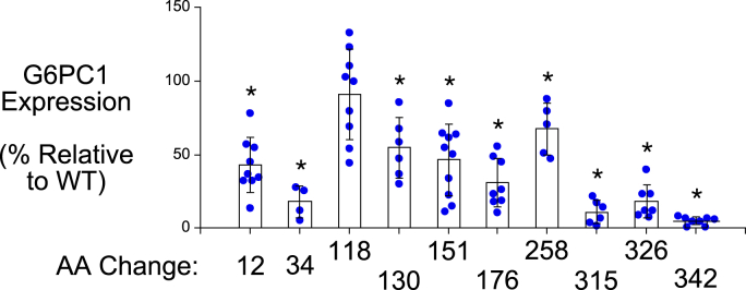 Figure 11