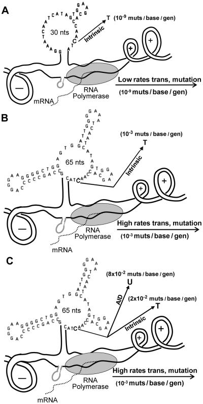 Fig. 8