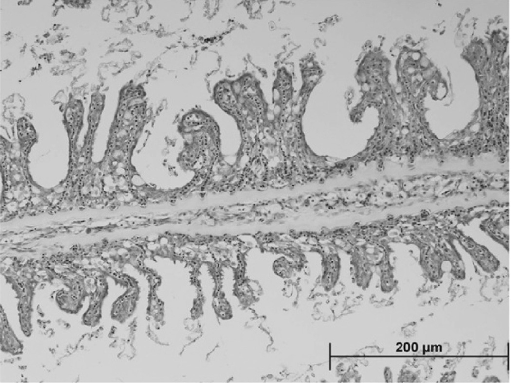 Fig. 10