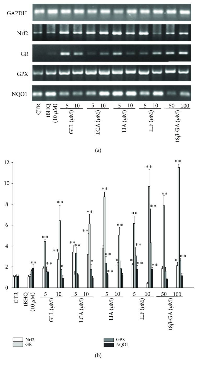 Figure 14