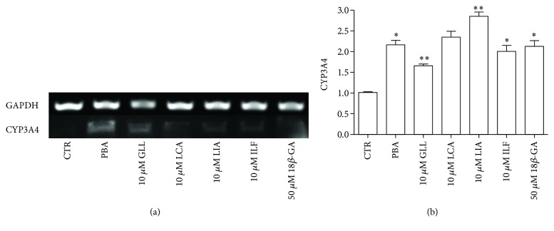 Figure 15