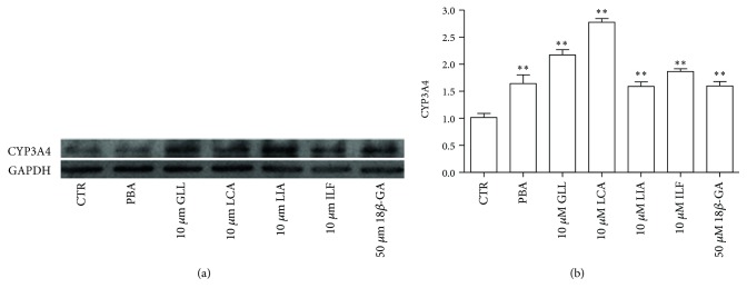 Figure 16