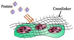 graphic file with name sensors-19-03485-i001.jpg