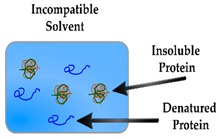 graphic file with name sensors-19-03485-i005.jpg