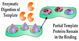 graphic file with name sensors-19-03485-i010.jpg