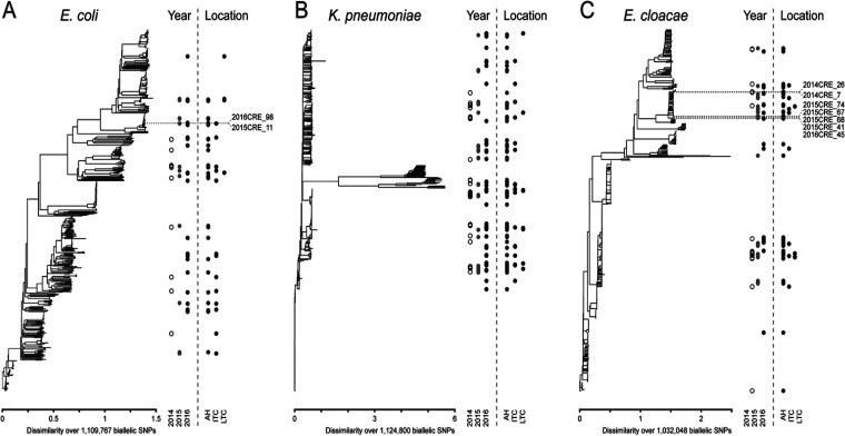 FIG 2