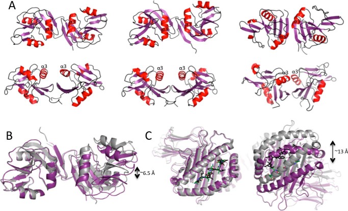 FIGURE 4.