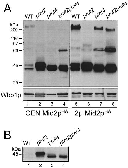 FIG. 6.