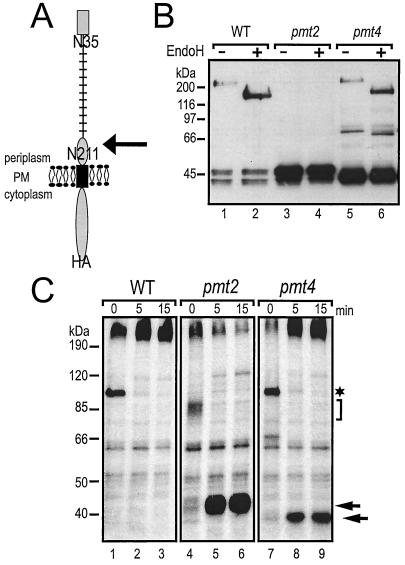 FIG. 7.