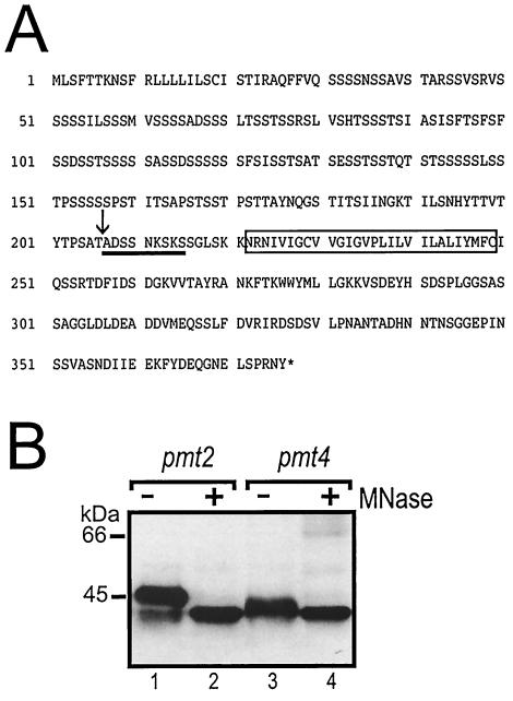 FIG. 8.