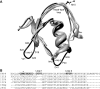 Fig 7