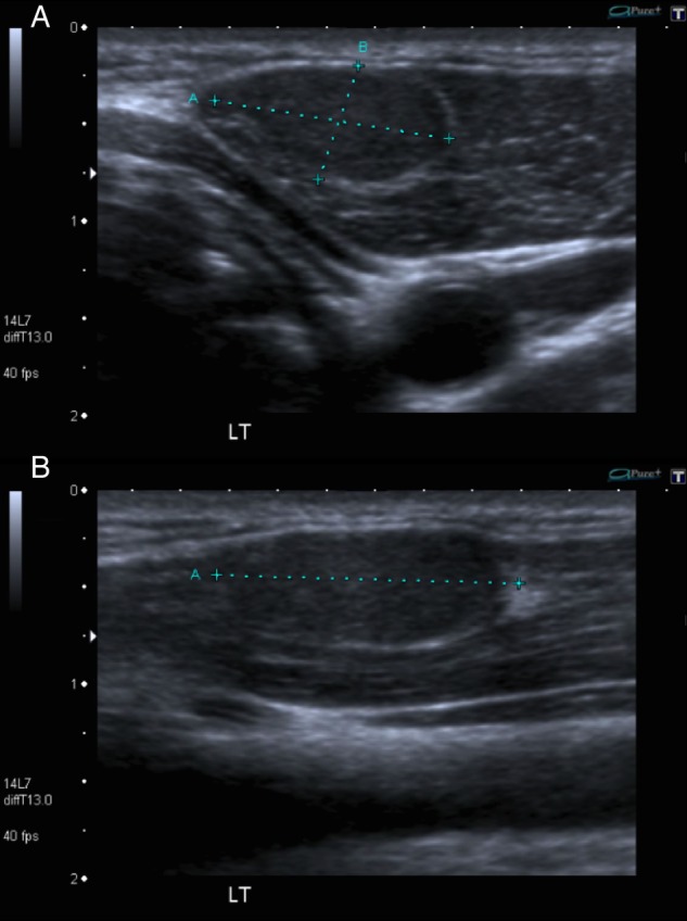 Figure 1