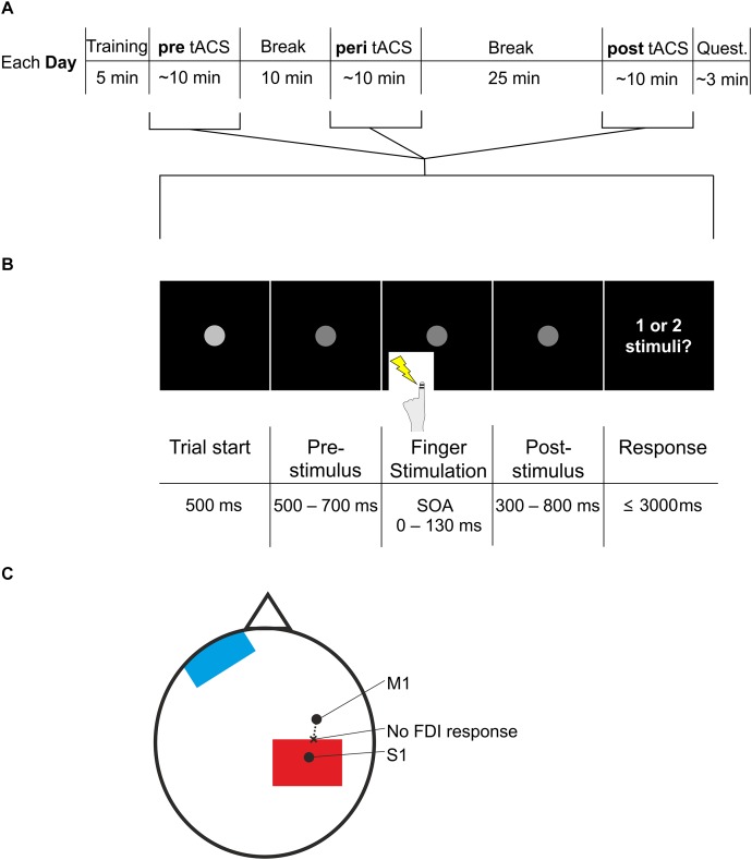 FIGURE 1