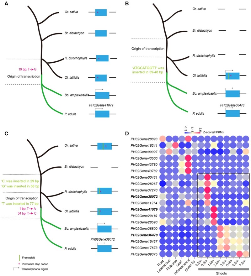 Fig. 3.