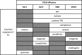 Figure 2—figure supplement 3.