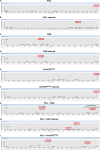 Figure 4—figure supplement 2.