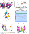 Figure 4—figure supplement 1.