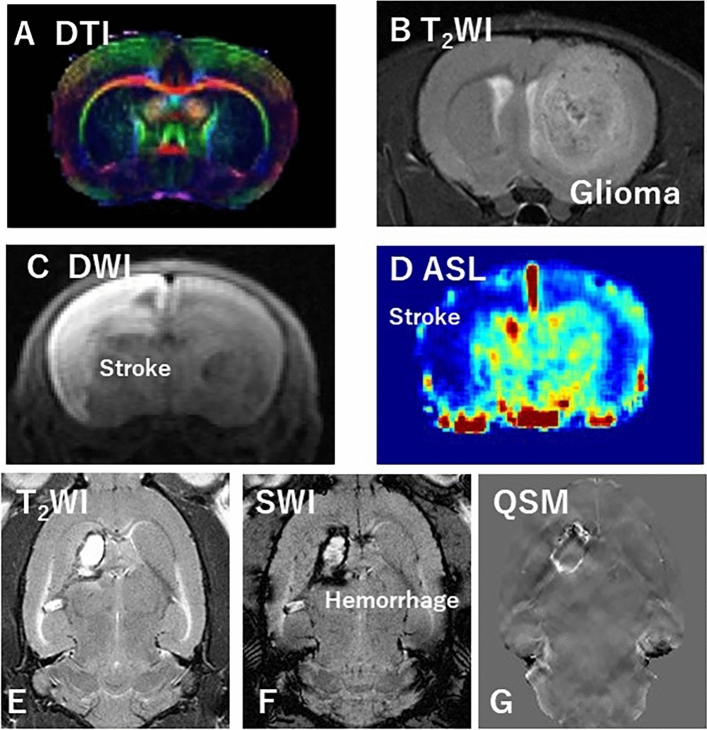 Fig. 6