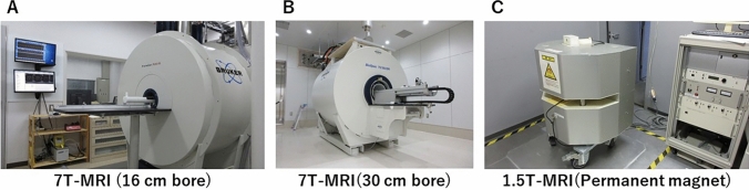 Fig. 1