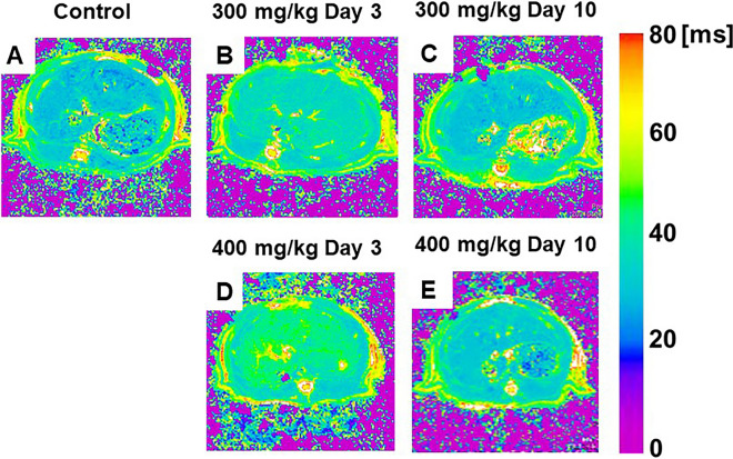 Fig. 10