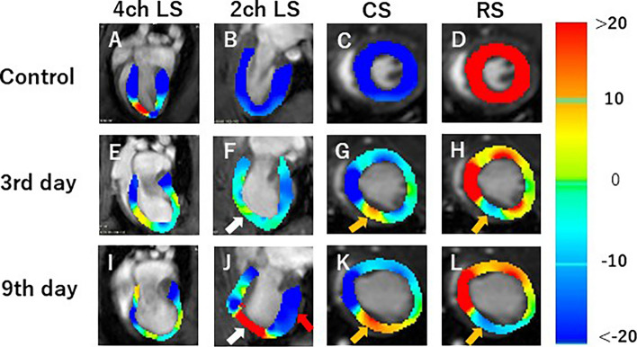 Fig. 9