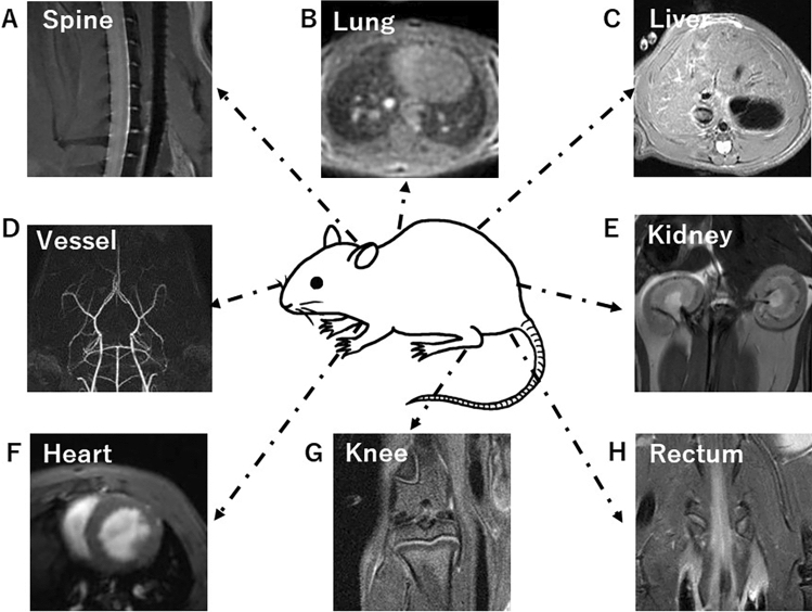 Fig. 5