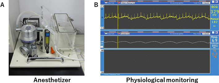 Fig. 4