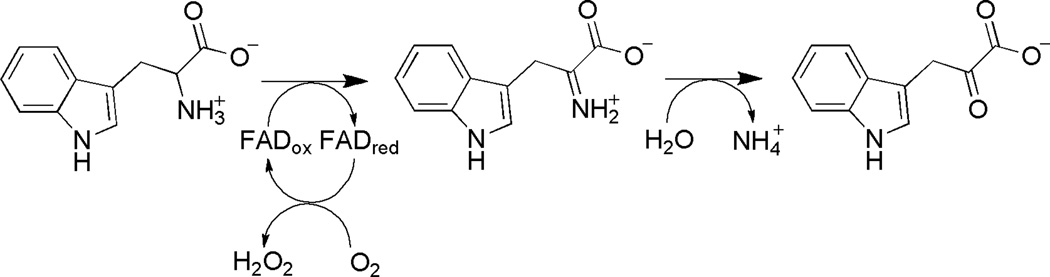 Scheme 6