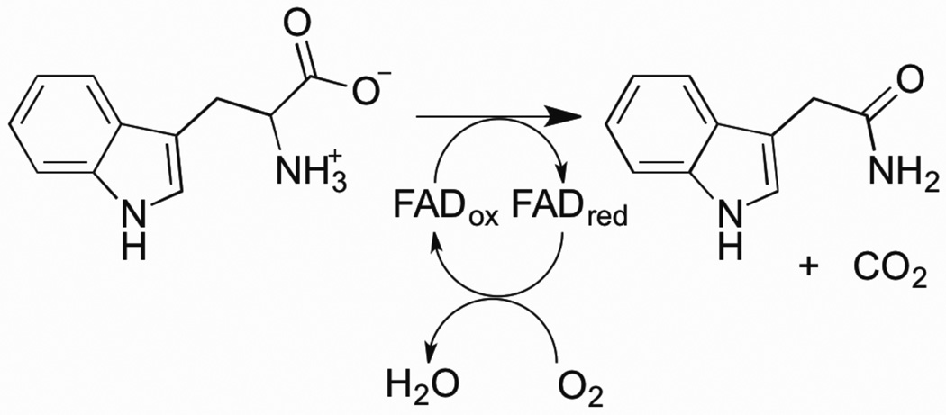 Scheme 7