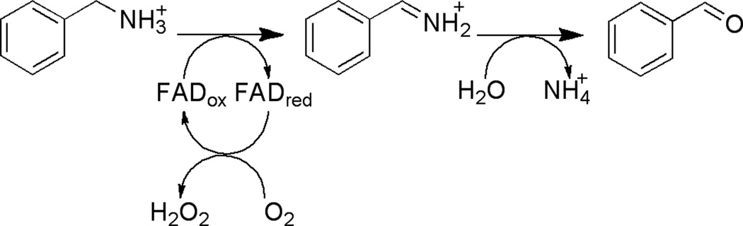 Scheme 3