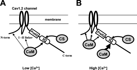 FIGURE 5.