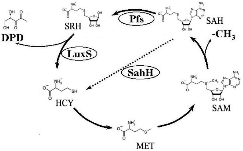 Figure 1.