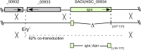 FIG 1