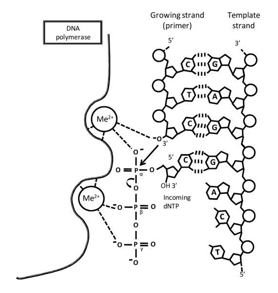 Scheme 2