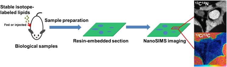 Fig. 2.