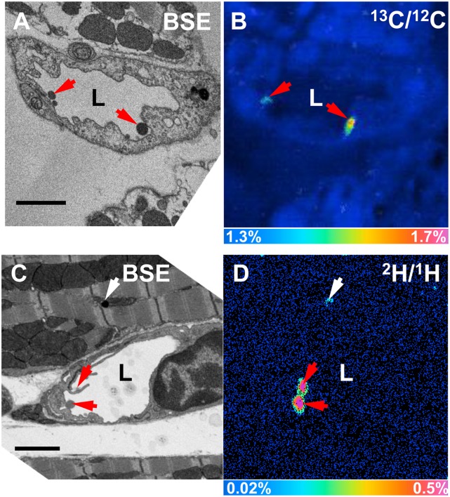 Fig. 8.