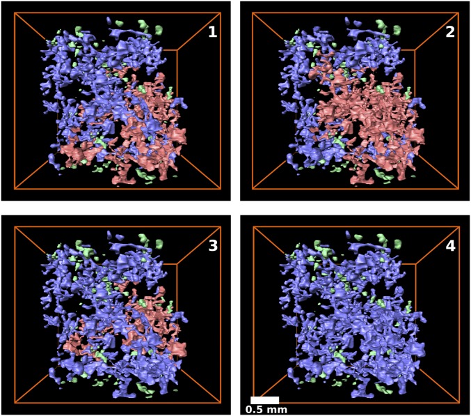 Fig. 3.