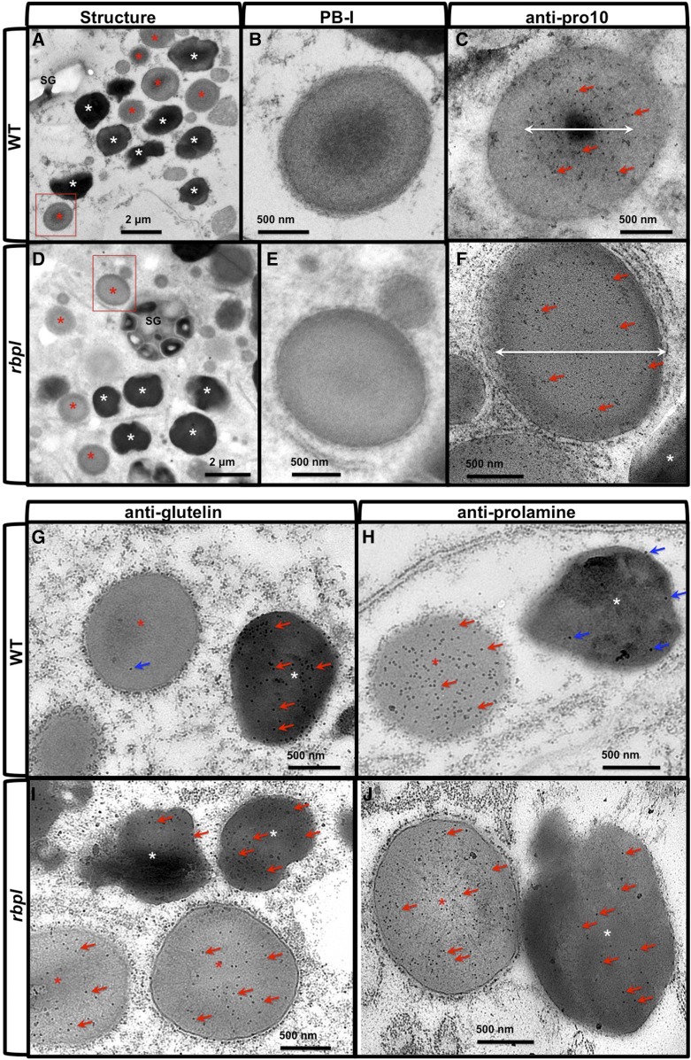 Figure 10.