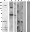 Figure 9.