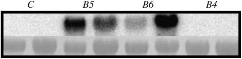 Figure 4.