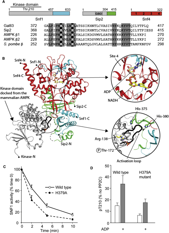 Figure 3