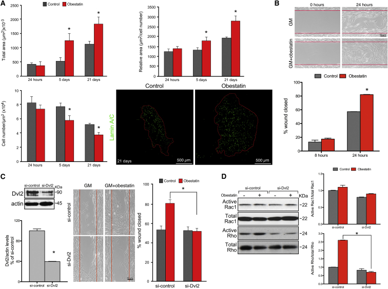 Figure 2