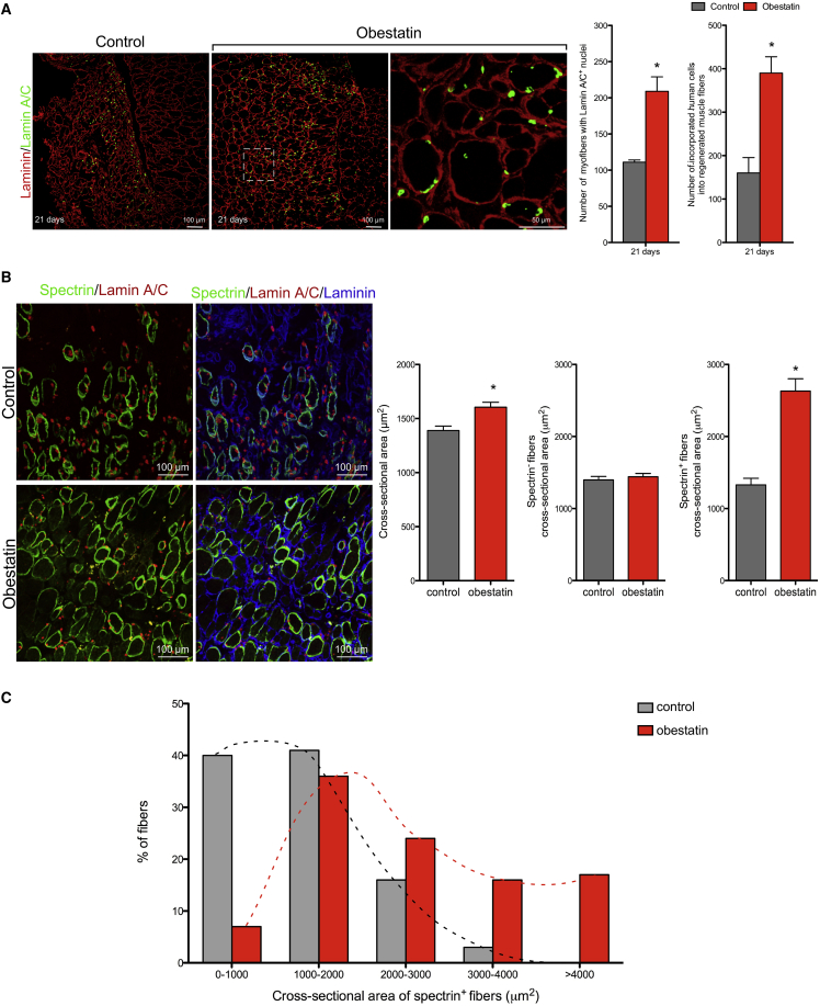 Figure 4