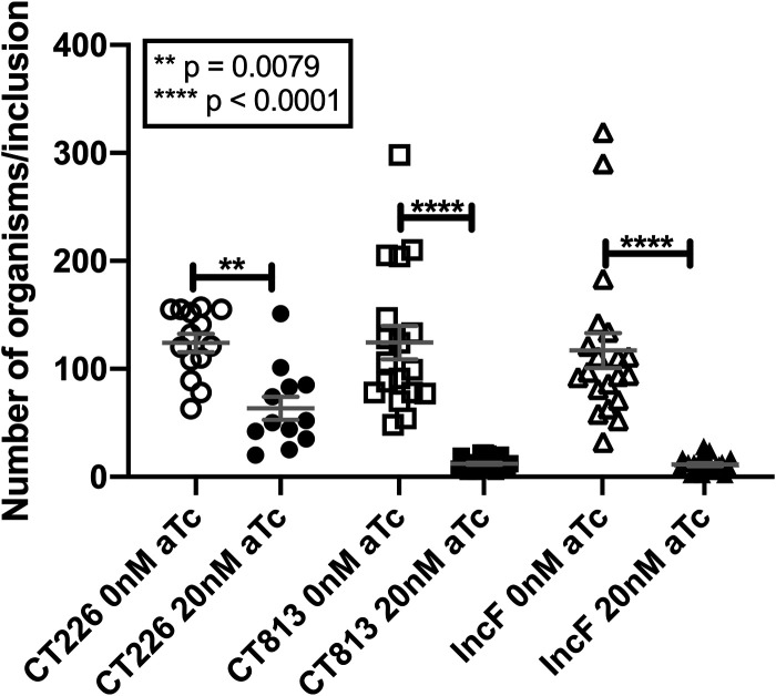 FIG 6