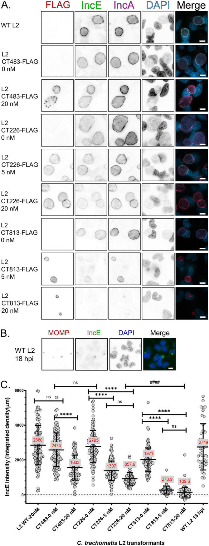 FIG 3