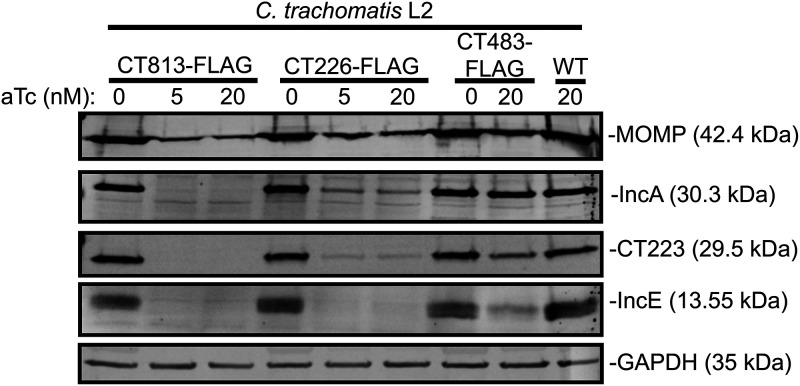 FIG 2