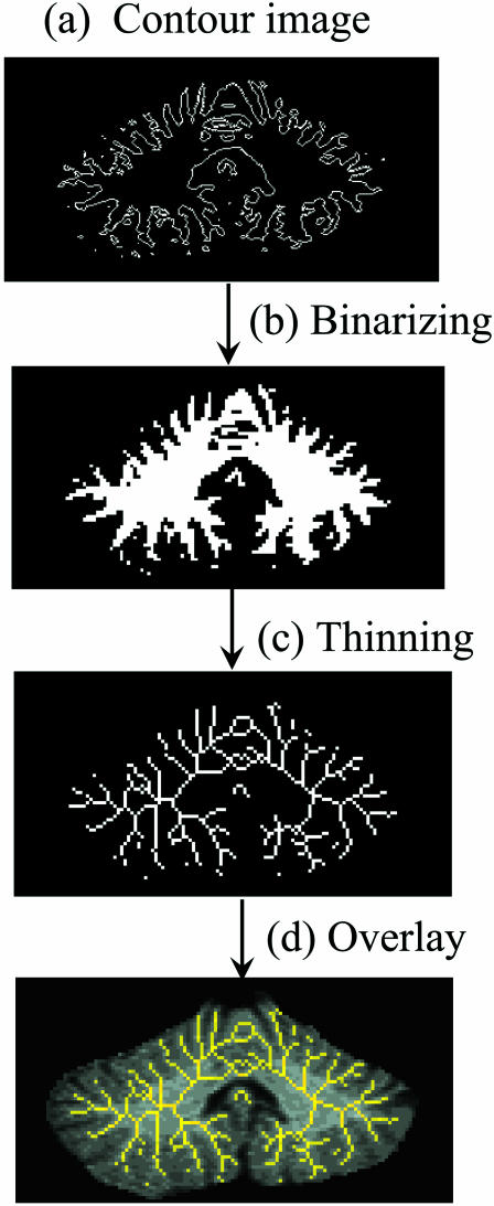 FIGURE 3